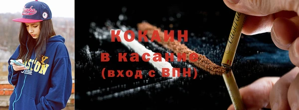 сатива Богородицк