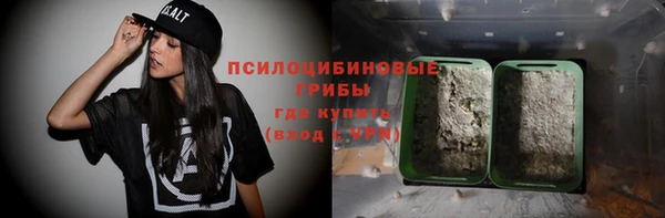 сатива Богородицк