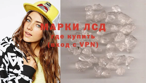 сатива Богородицк