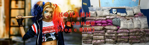соль ск Богданович